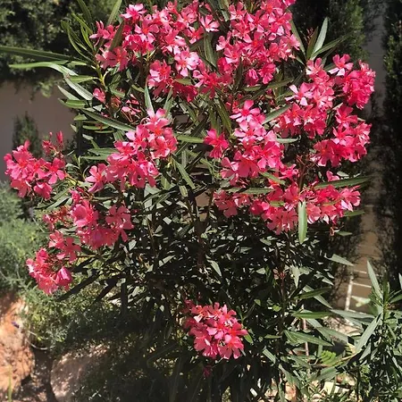 Hayahay With Private Pool & Amazing View *