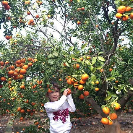 Villa Hayahay With Private Pool & Amazing View Calpe