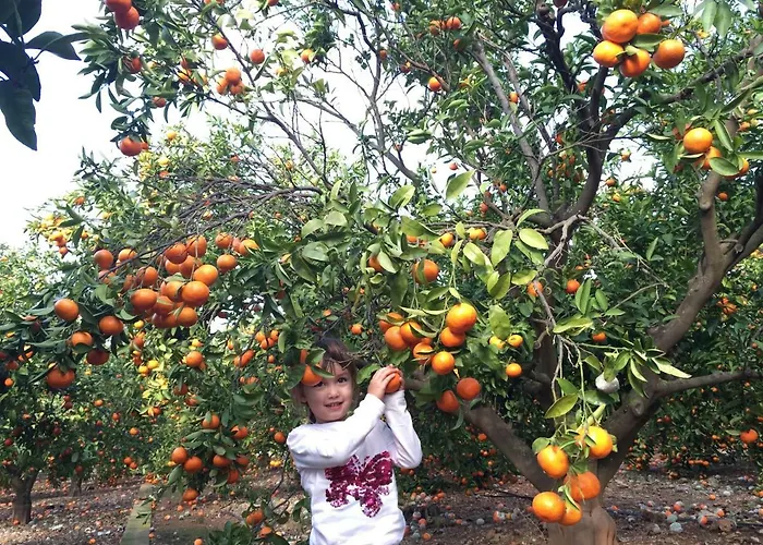Villa Hayahay With Private Pool & Amazing View Calpe